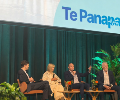 Te Panapana head image